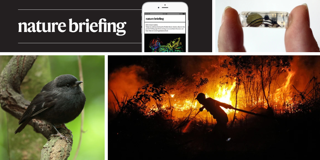 media.nature.com image