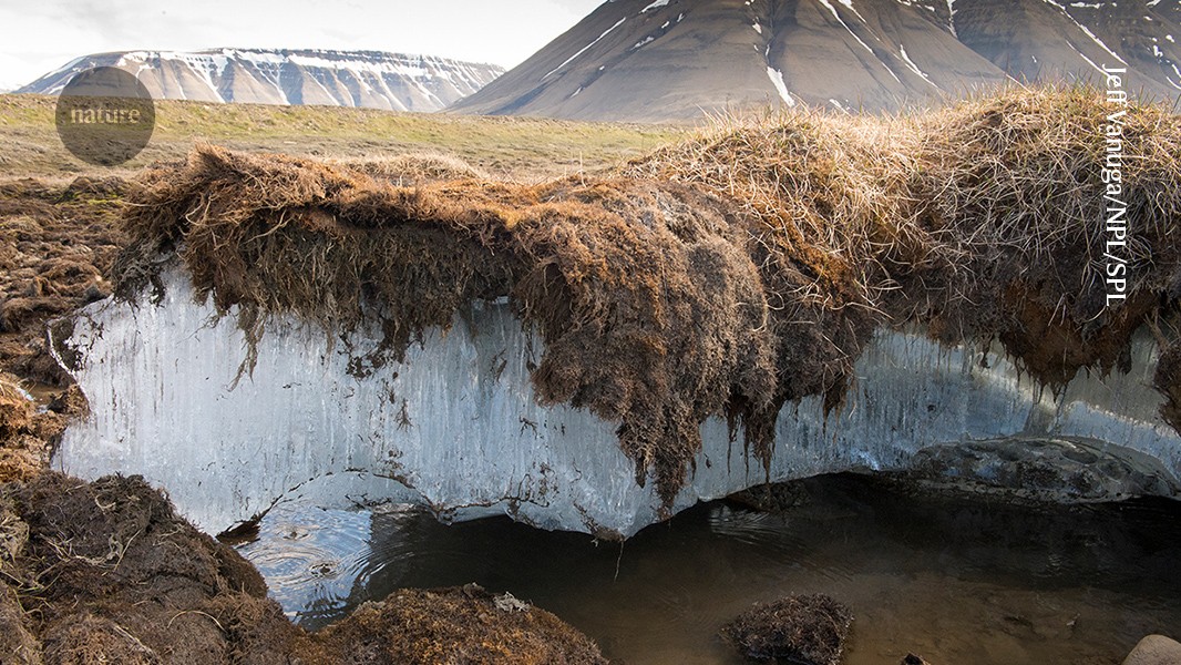 Woody ‘blankets’ deployed on Arctic permafrost to reduce carbon emissions