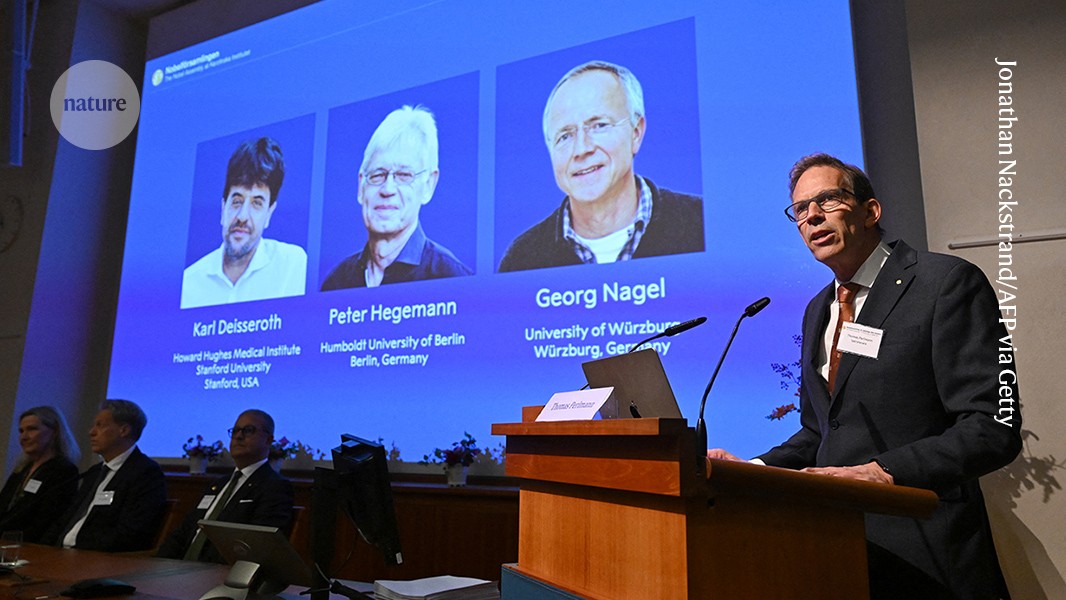 Medicine Nobel awarded for brain ‘switch’ that controls neurons with light: live updates