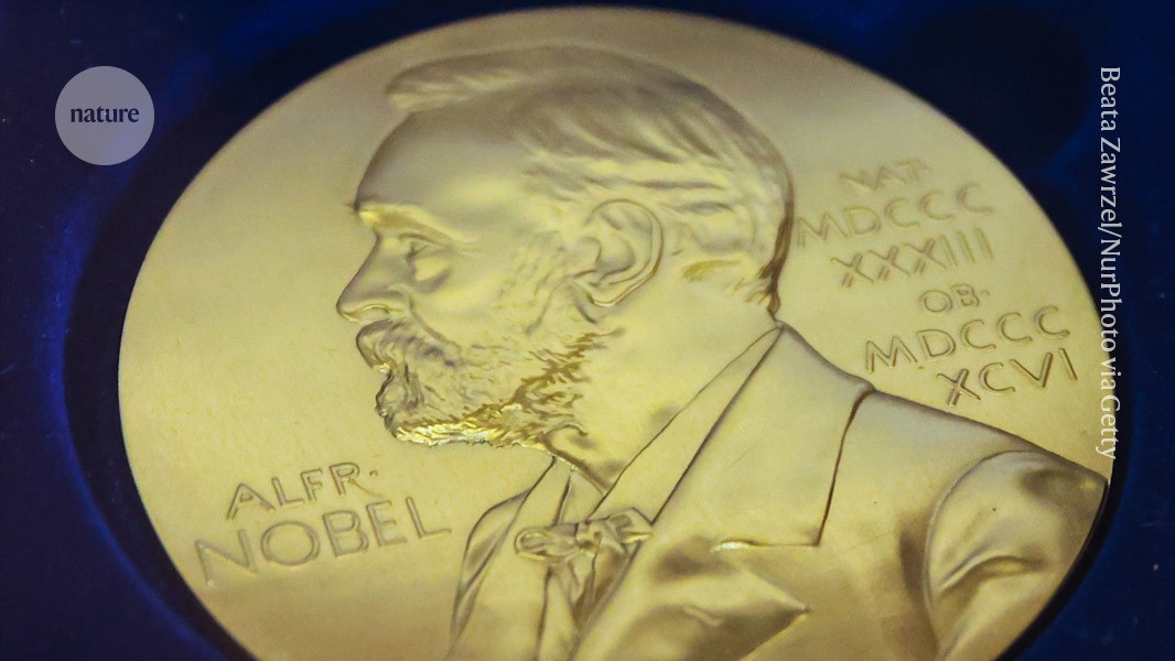 Nobel physics prize awarded for detection of ghostly neutrinos