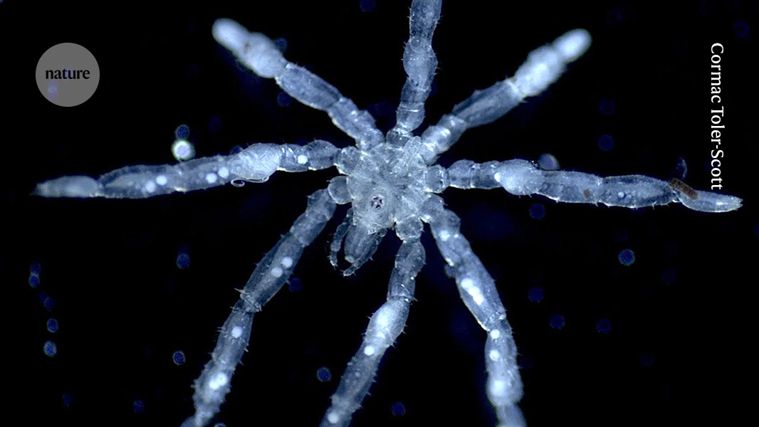 Give me the good news: four science stories to brighten your day