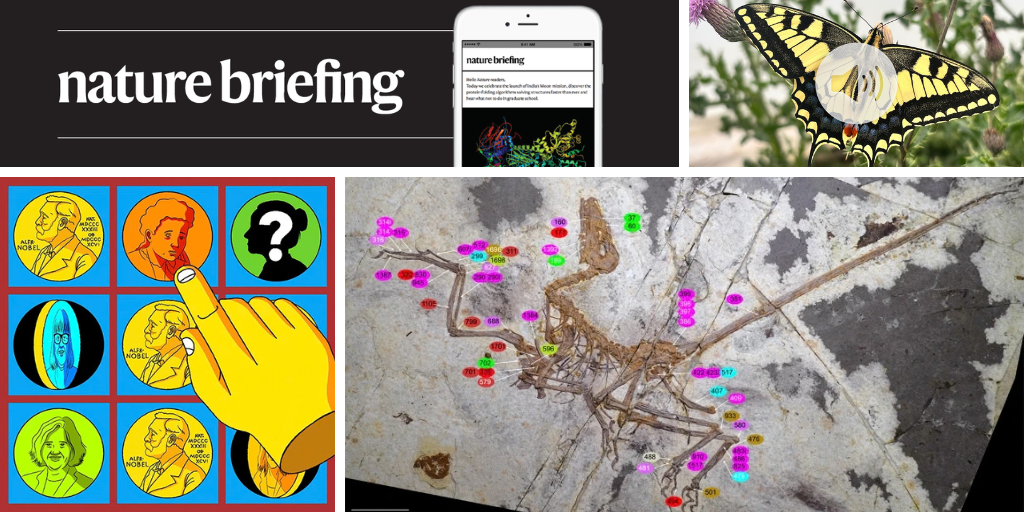 Daily briefing: Can you name every female Nobel laureate?