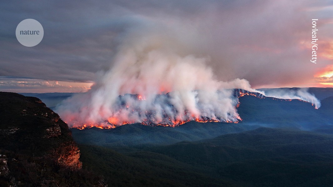 Bush Fires in Australia: A Historical Perspective