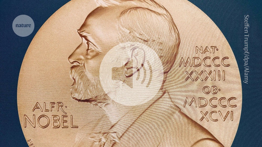 Nobel prizes 2026: brain switches, cosmic neutrinos and life’s chemistry
