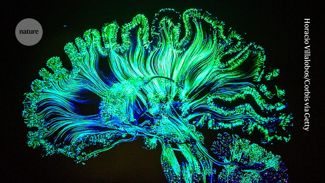 Microdosing LSD shows some cognitive benefits — but only for women