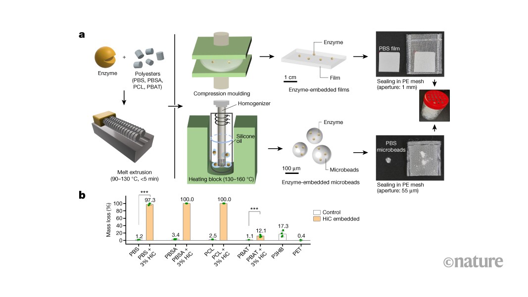 Plastics embedded with enzymes degrade readily in the sea