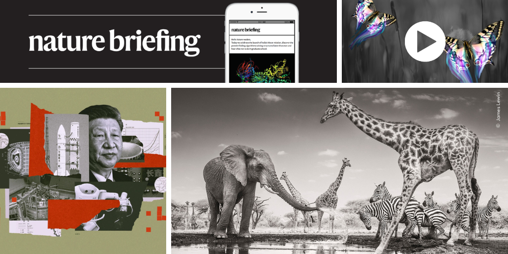 media.nature.com image