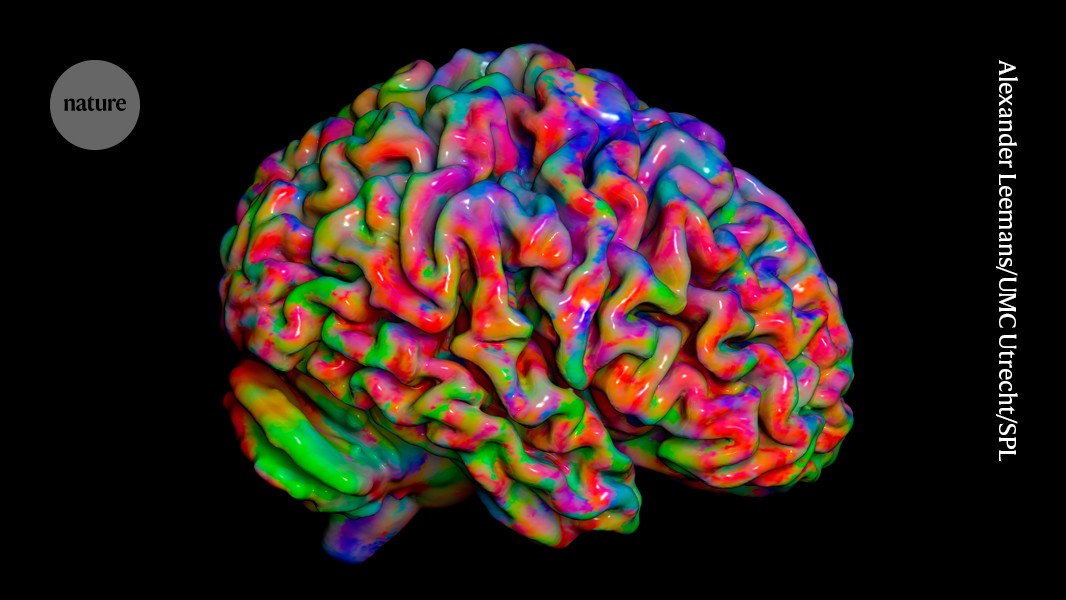 Huge mapping study reveals how your brain tracks what your body is feeling