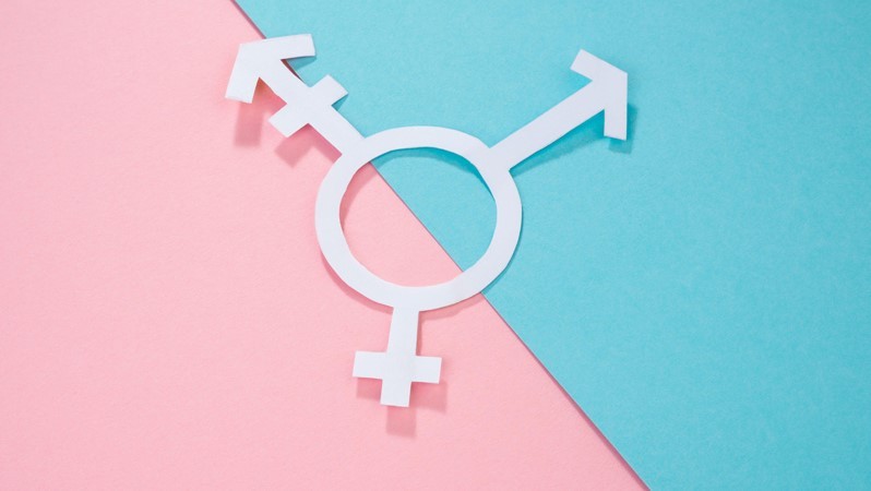 Experiences of transgender youths in health care