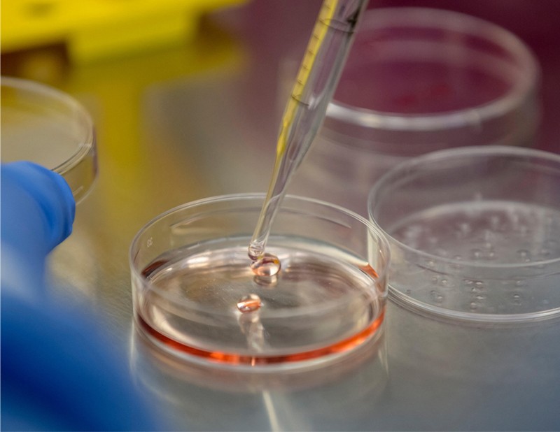 Five-Year-Old Brain Organoids Reveal Epigenetic Aging Mirroring Human Development - News Directory 3