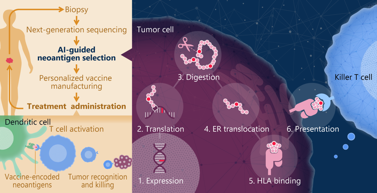 Nec Bio NEC: harnessing artificial intelligence-powered drug development to ...