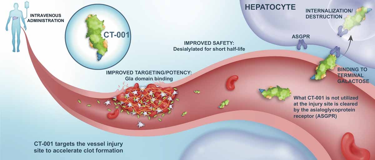 Stopping acute bleeds, starting with severe postpartum hemorrhage