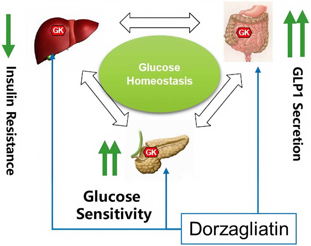 glp 1 blindness reddit Advances in treatments for type 2 diabetes: first China and then the rest  of the world