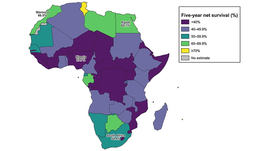 Bridging the Cancer Care Gap in Africa: Challenges and Solutions