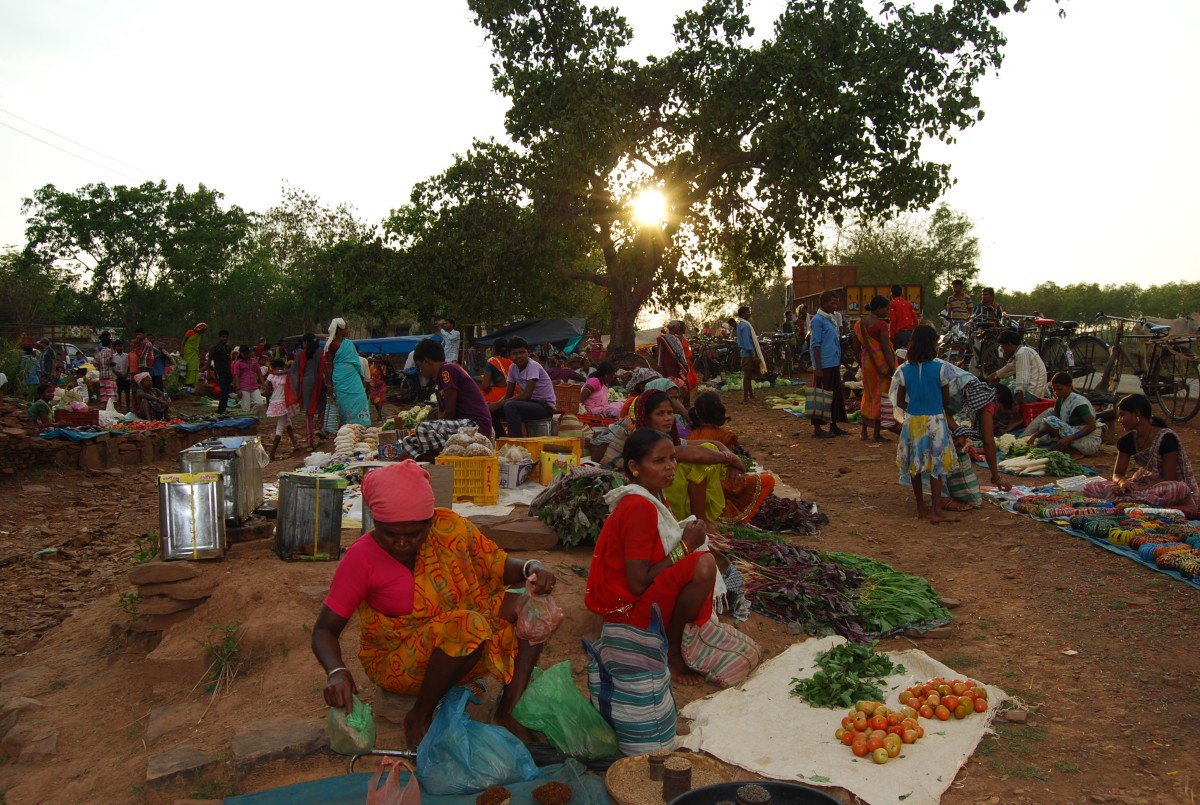 Why India still carries the heaviest burden of neglected tropical diseases