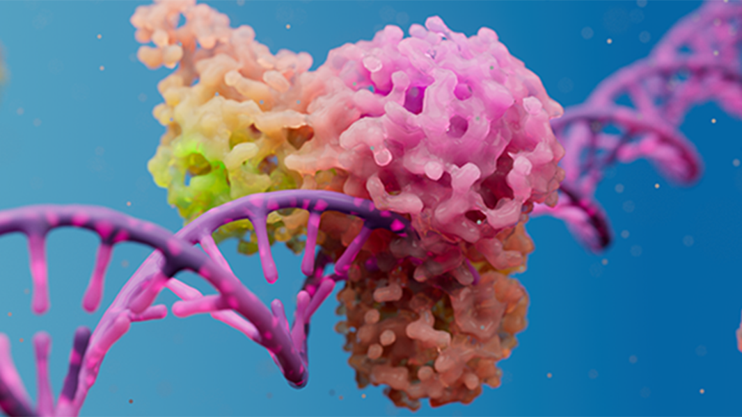 Single-molecule analysis of cancer DNA-protein interactions from ...