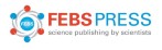 Federation of European Biochemical Societies (FEBS)
