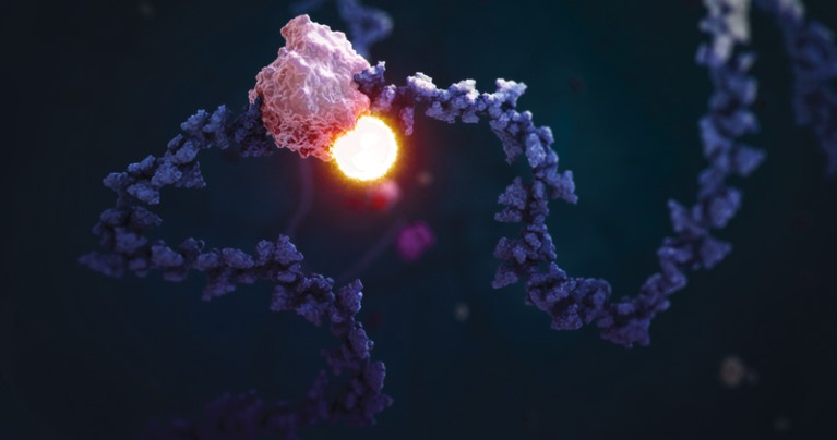 Chemical inhibitors make their RNA epigenetic mark