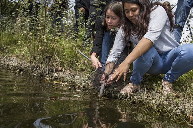 Students release axolotl under the supervision of Dr Luis Zambrano into a lake controlled by NAUM