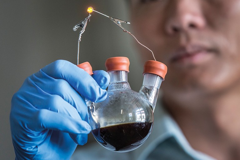 A researcher looks at a flask containing a dark liquid