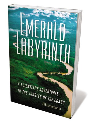 Book jacket 'Emerald Labyrinth