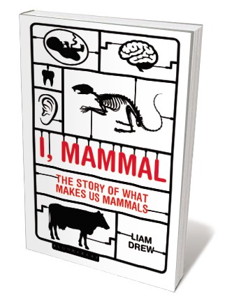Book jacket 'I, Mammal'