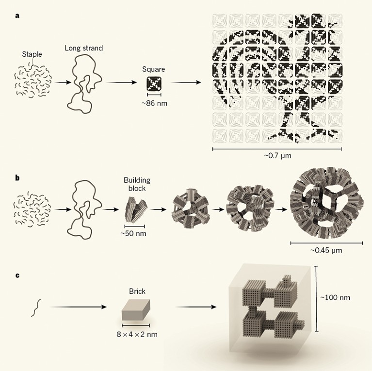 DNA Self-assembly Scaled Up