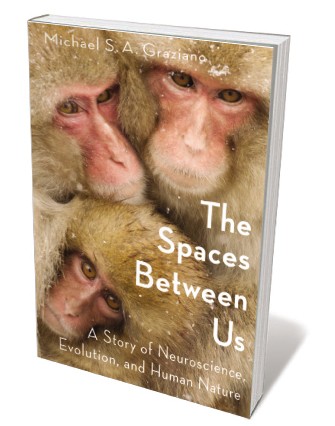 Book jacket 'The Space Between Us'