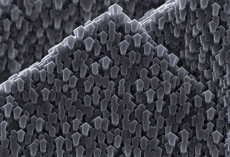 A scanning electron micrograph of a calcite crystal