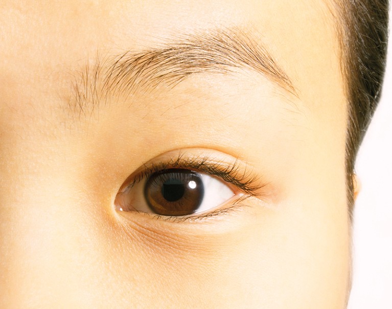 A female close-up eye.