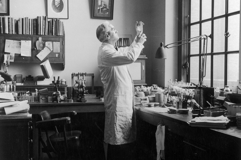 Alexander Fleming at work in his laboratory