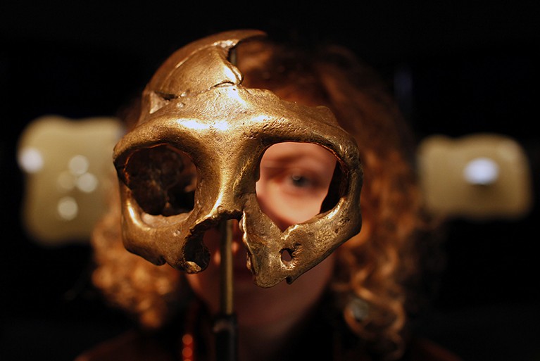 A girl looks through the replica of a Neanderthal skull in a museum.