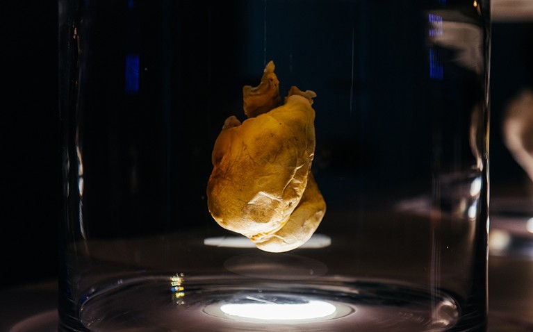 A white heart displayed in a jar in a dark room.