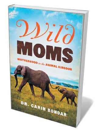 Book jacket 'Wild Moms'