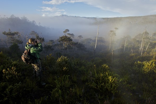 A white man wearing a raincoat and rucksack looks through binoculars in a misty forest in New Guinea.