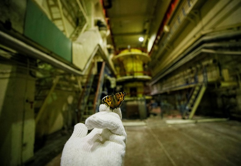 A visitor holds a butterfly that was found in a pump room of the stopped third reactor at the Chernobyl nuclear power plant.