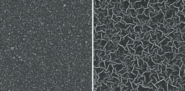 Black and white scanning electron micrographs of the Turing-type membranes: dots on the left and tubes on the right.
