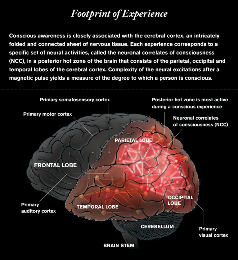 what-is-consciousness