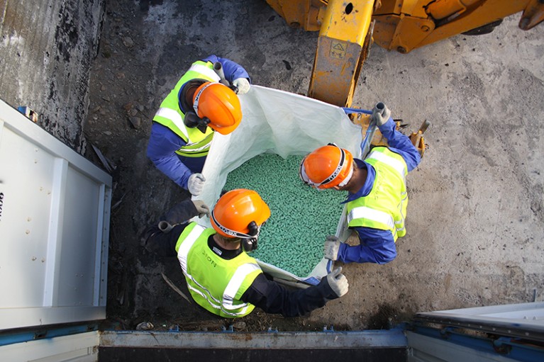 SGHT staff look down at rodent bait in a reloading bag on South Georgia island in 2011.