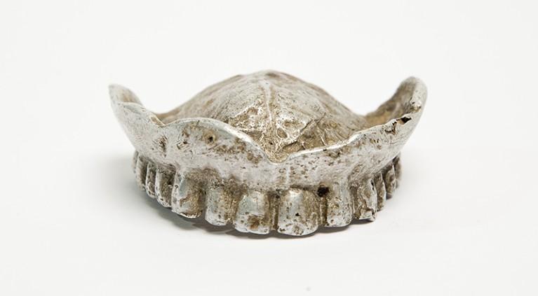 An upper denture made of grey metal, spotted with brown corrosion.