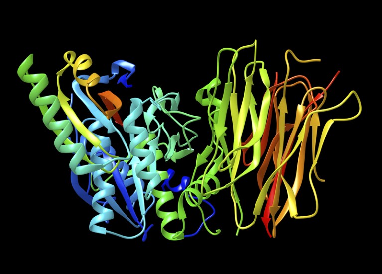 Molecular rendering of the enzyme proprotein convertase subtilisin/kexin type 9 (PCSK9)