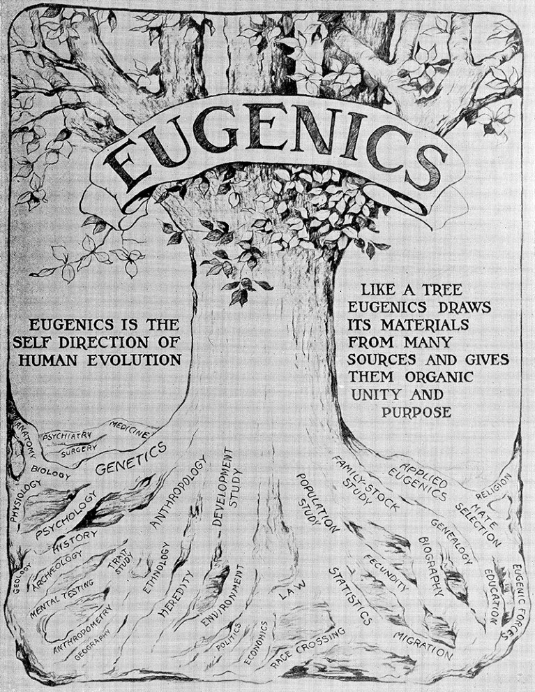 Wall panel showing ‘The Relation of Eugenics to Other Sciences’ as an illustrative tree. From the Int. Congress of Eugenics 1932