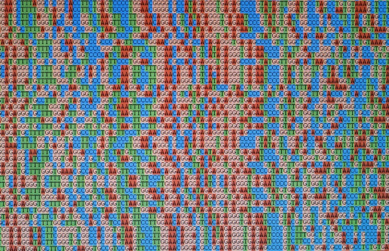 Photo of unaligned DNA base sequences on a computer screen.