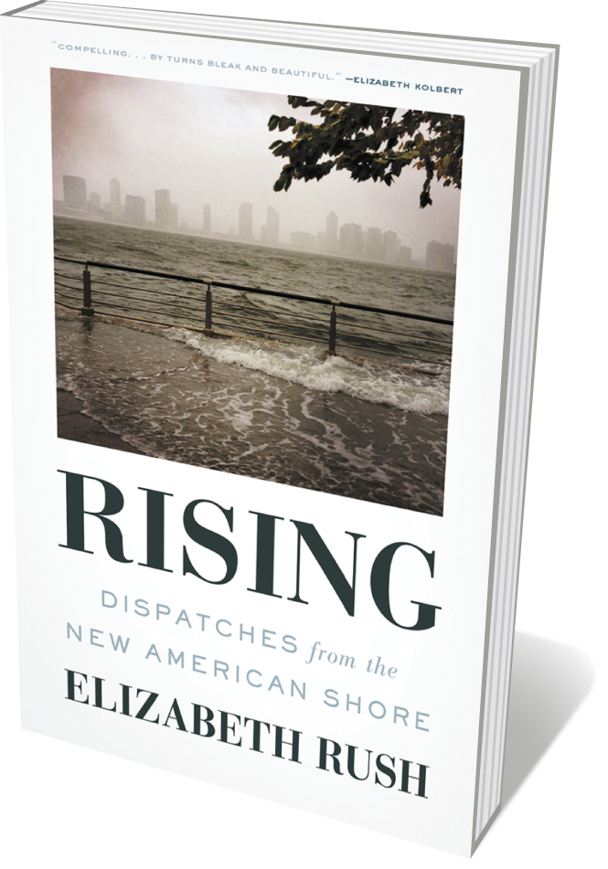 Book jacket 'Rising'