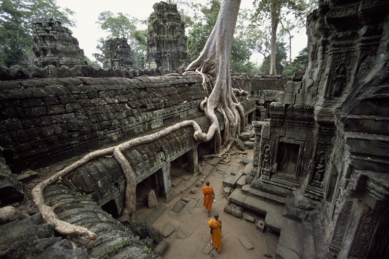 Buddhist monks near large strangler fig at the Ta Phrom Temple in Angkor Wat, Cambodia.
