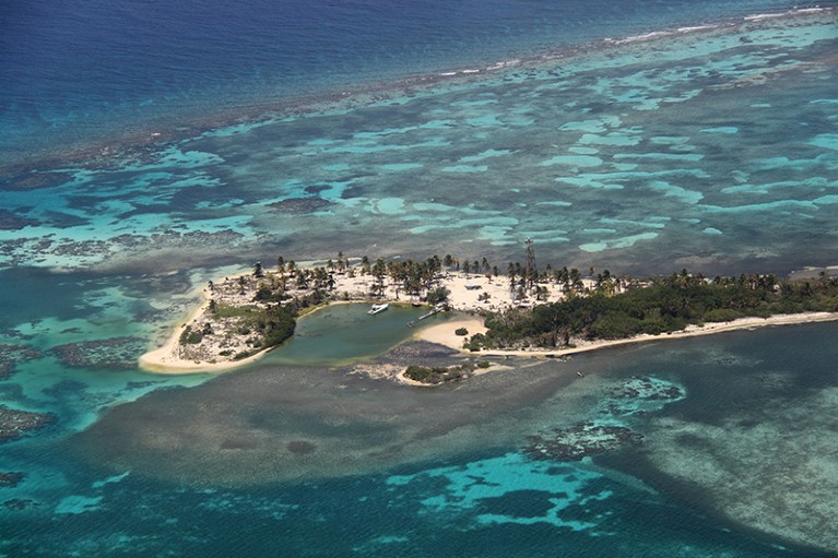 Sandbore Caye, part of the Belize Barrier Reef, seen from a plane