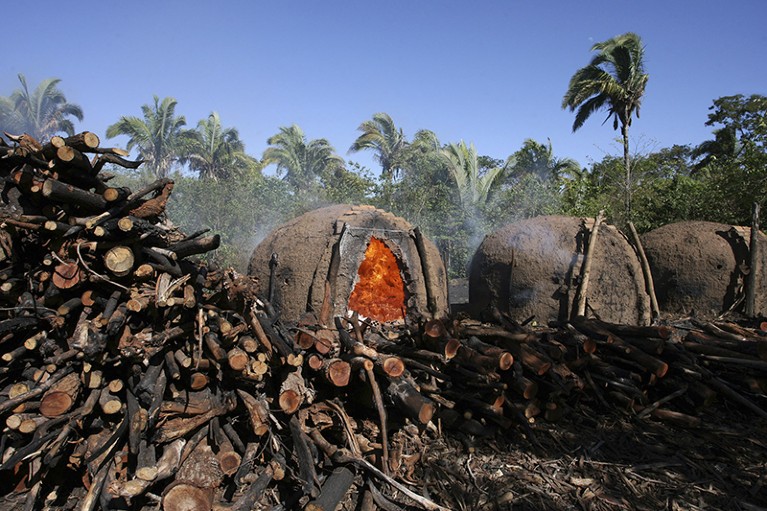Cut logs can be seen piled in front of round earth furnaces filled with fire. Forest can be seen through smoke in the background