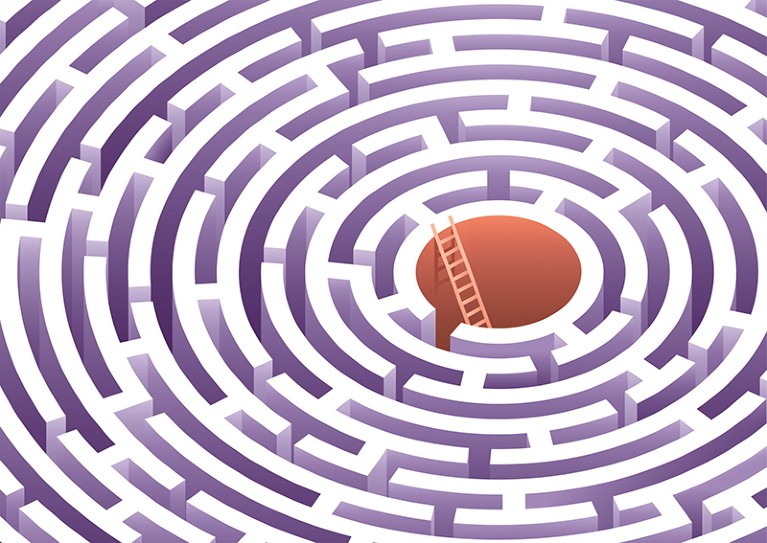 Illustration of circular maze with a ladder coming out of the centre