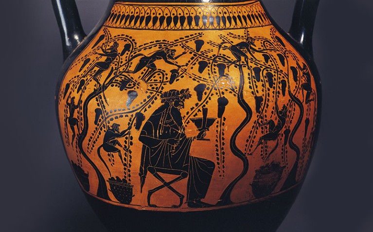 Close up photograph of an orange 6th century Greek vase, decorated with a black relief of a man drinking in a vineyard