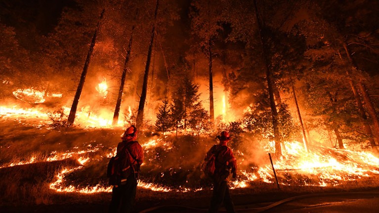 Firefighters work to control the spread of a fire in California.